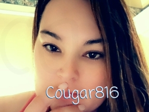 Cougar816