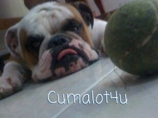 Cumalot4u