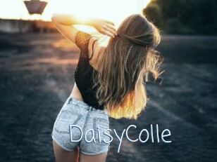 DaisyColle