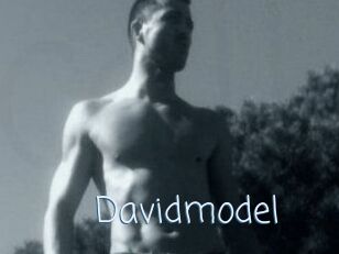 Davidmodel