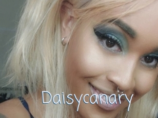 Daisycanary