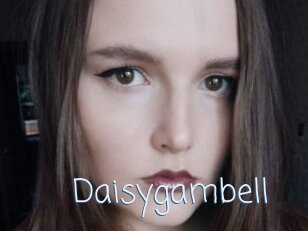 Daisygambell