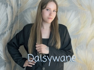 Daisywane