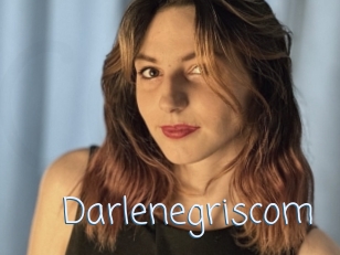 Darlenegriscom