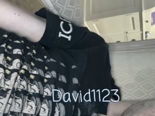 David1123