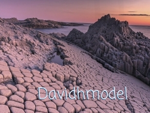 Davidhmodel