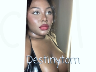 Destinytorn