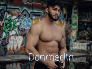 Donmerlin