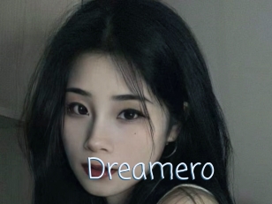 Dreamero