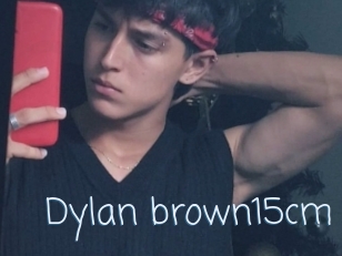 Dylan_brown15cm