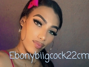 Ebonybiigcock22cm