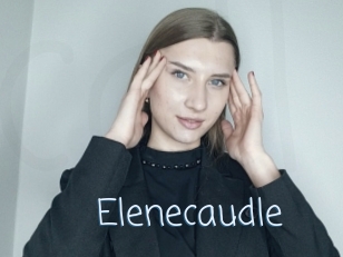 Elenecaudle