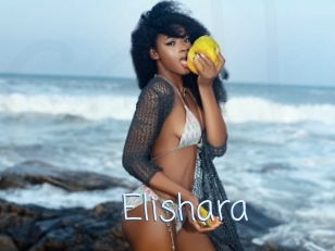 Elishara