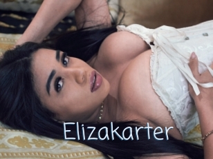 Elizakarter