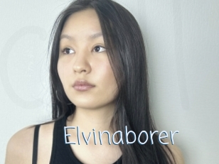 Elvinaborer