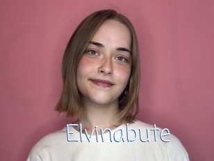Elvinabute