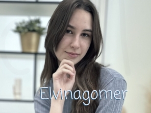 Elvinagomer