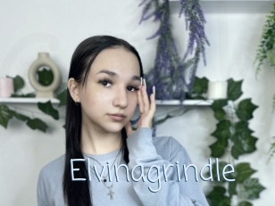 Elvinagrindle