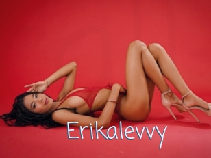 Erikalevvy