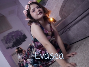 Evasea