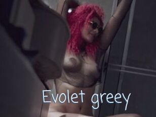 Evolet_greey