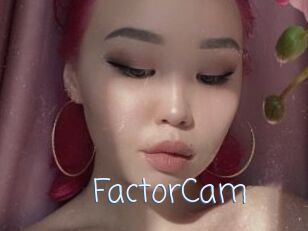 FactorCam