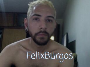 FelixBurgos