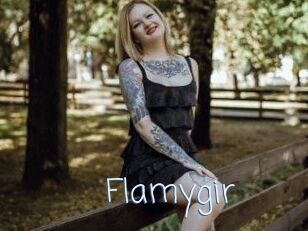 Flamygir