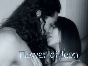 Flower_of_leon