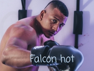 Falcon_hot