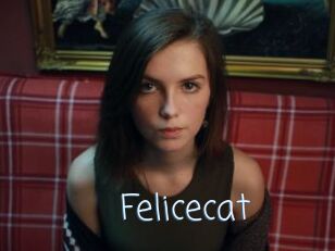 Felicecat