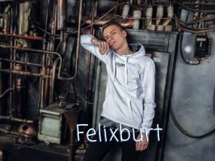 Felixburt