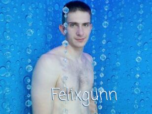 Felixgunn