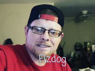 Fizdog