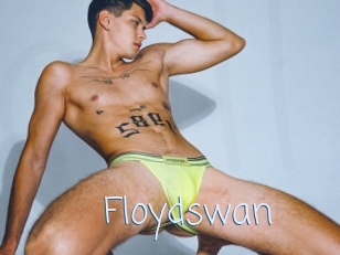 Floydswan