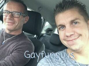 Gayfunguys