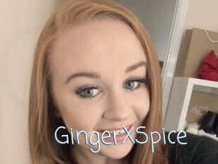 GingerXSpice