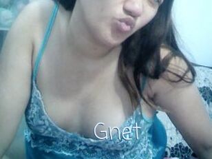 Gnet