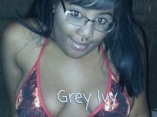 Grey_Ivy