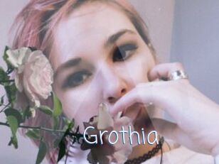 Grothia