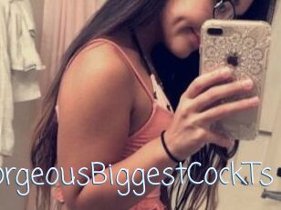 _GorgeousBiggestCockTs_