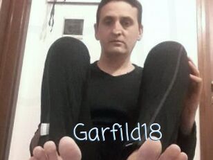 Garfild18