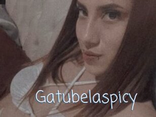 Gatubelaspicy