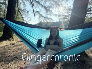 Gingerchronic