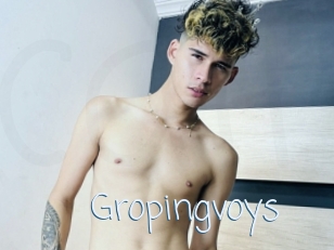 Gropingvoys