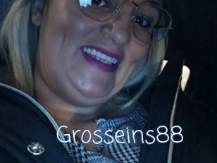 Grosseins88