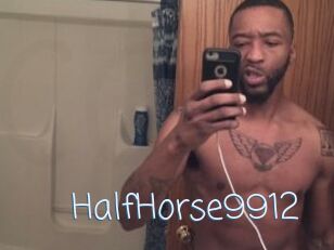 HalfHorse9912