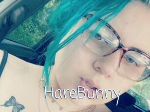 HareBunny