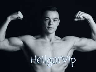 HeilgarVip