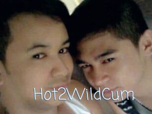 Hot2WildCum